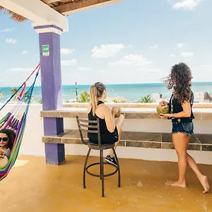 https://the-mermaid-hostel-beach.quintano-roohotels.com